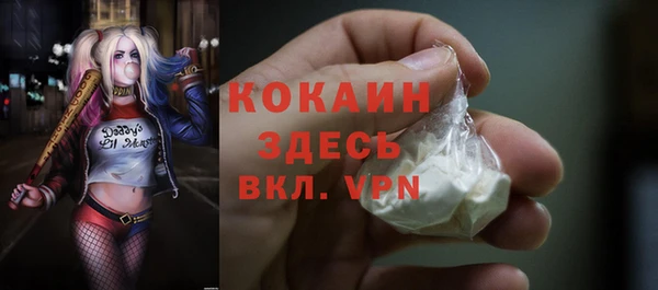 кокс Алексин
