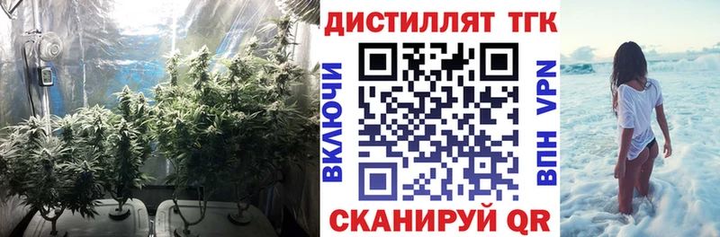 Дистиллят ТГК гашишное масло купить наркотики цена Пушкино