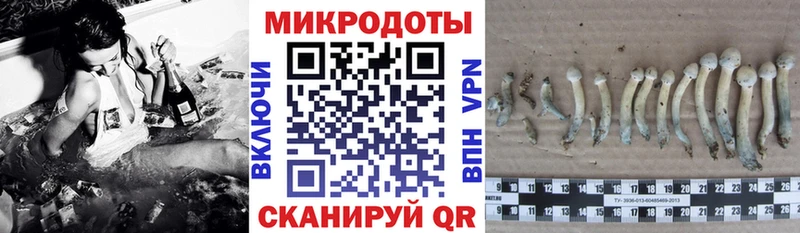 Галлюциногенные грибы прущие грибы  что такое наркотик  Пушкино 