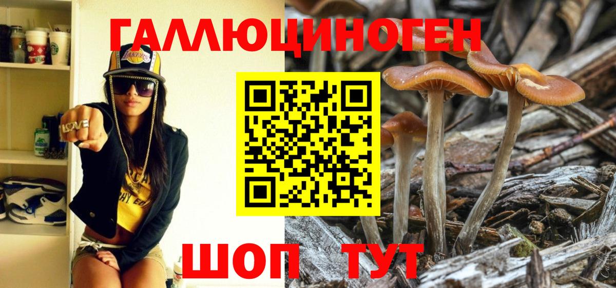 Пушкино  Галлюциногенные грибы мухоморы  Вход с VPN 