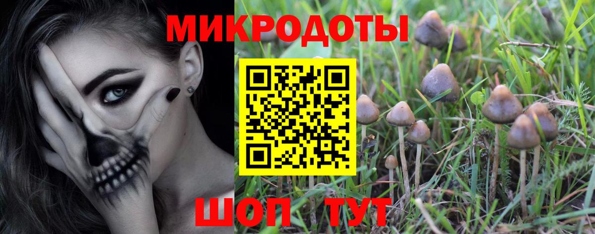 Псилоцибиновые грибы прущие грибы Пушкино